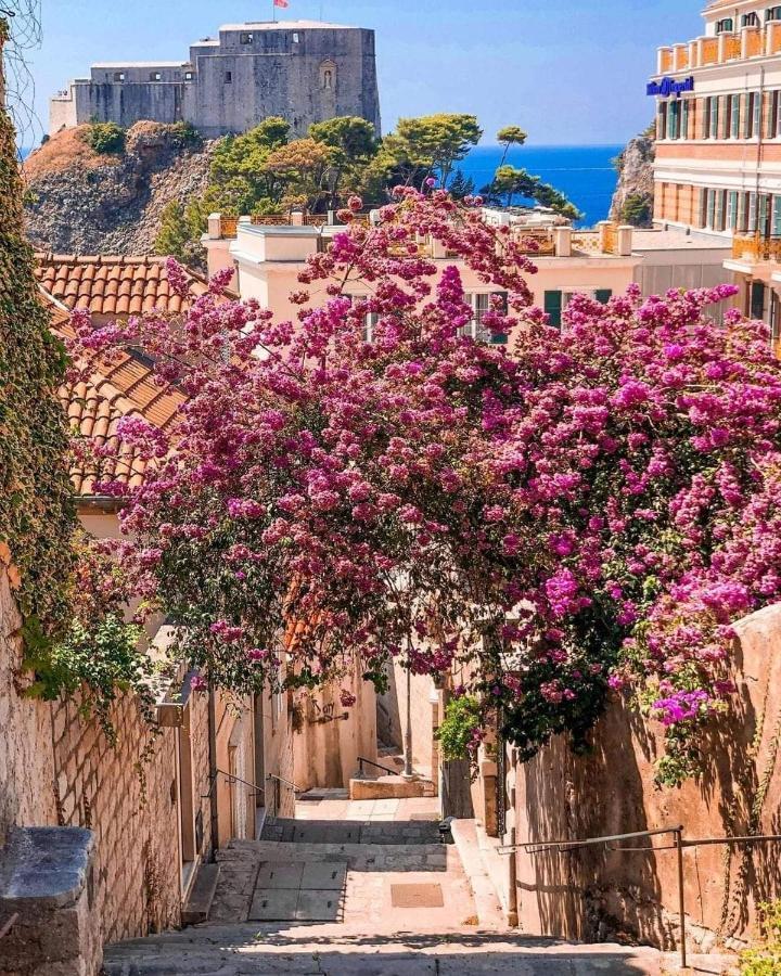 House Nina Apartment Dubrovnik Ngoại thất bức ảnh