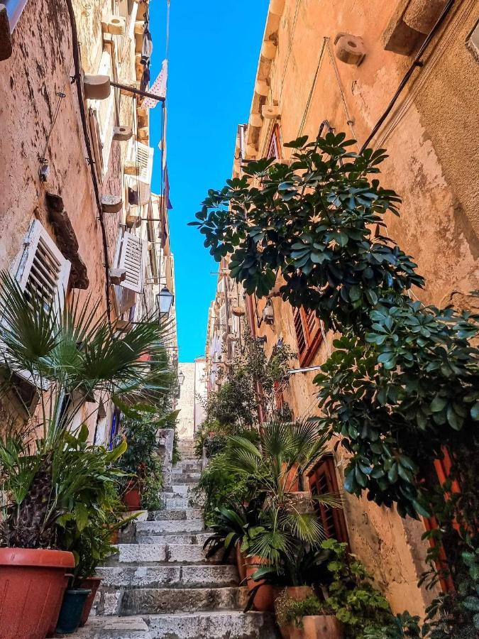 House Nina Apartment Dubrovnik Ngoại thất bức ảnh